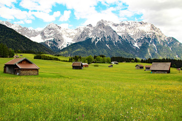 Fototapeta na wymiar green meadow with houses in the Alps