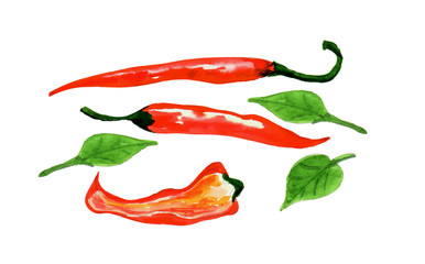 Hand-drawn watercolor illustration. Set of red hot pepper pod and leaves isolated on white background. Illustration for design, card, background 