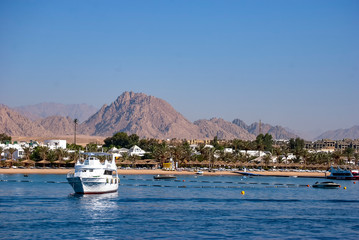 Fototapeta na wymiar Leisure boats in Naama Bay, Sharm el Sheikh in Egypt