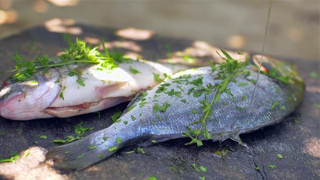  Gilt-head bream dorade grilled nature