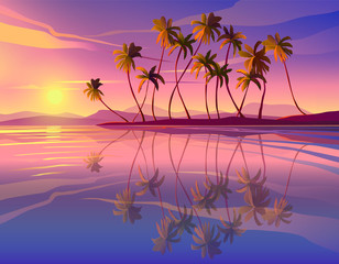 Beautiful seaside sunset. Decline, ocean, palm trees.