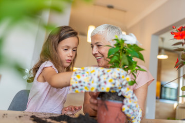 Happy grandmother with her granddaughter takes care of household plants and flowers. Grandmother with her granddaughter Care for domestic flowers. Gardening, family and people concept