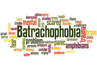 Fototapeta premium Batrachophobia fear of amphibians word cloud concept 2