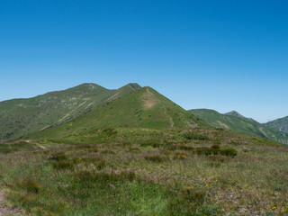 Beautiful mountain landscape of Western Tatra mountains or Rohace with hiking trail on ridge. Sharp green grassy rocky mountain peaks with scrub pine and alpine flower meadow. Summer blue sky