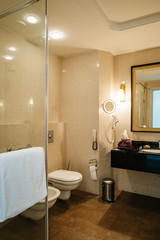 Interior of five star hotel with large bathroom - suspended toilet, bidet large shower and towel with big mirror