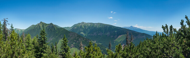 View from tatra mountain trail on Baranec to Western Tatra mountains or Rohace panorama and high tatras. Pine trees and coniferous forest hills, blue sky. Tatra mountain in summer, Slovakia.