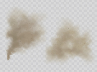 Clouds of smoke or dust with dirt microscopic particles 3d realistic vector illustration isolated on transparent background. House cleaning, environmental pollution, allergy concept design element - obrazy, fototapety, plakaty
