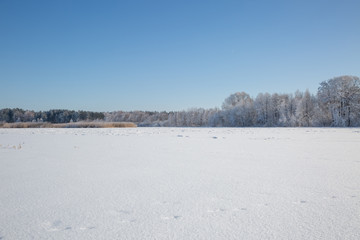 winter rural landscape with a river and trees