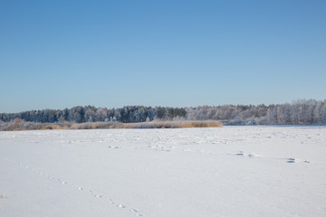 winter landscape with lake and snow