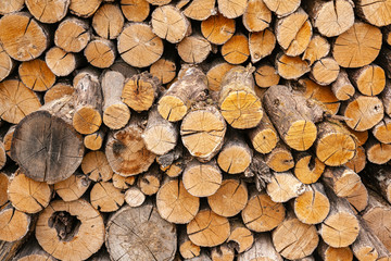 Dry oak firewood stacked in a pile, not chopped whole wood for winter heating fireplace. Natural wood background.