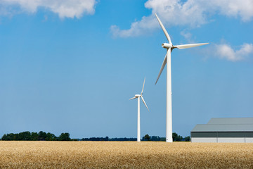 Wind turbines and modern agricultural barn in a golden yellow wheat field against a blue sky with clouds. Concept for clean sustainable and  renewable energy with copy space.