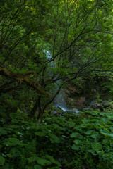 Green colorful small waterfall throw leaves