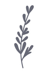 Isolated rustic leaves design vector illustration