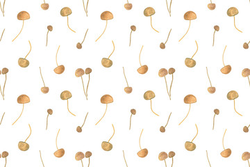 Hand drawn seamless pattern of watercolor autumn forest illustration, agaric honey mushrooms
