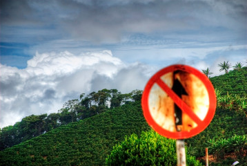 Landscape photographed in Caparao, Espirito Santo. Southeast of Brazil. Atlantic Forest Biome....