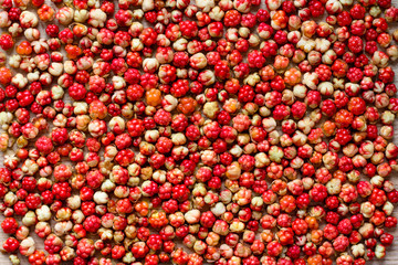 a lot of bright juicy cloudberries laid out on the table, background