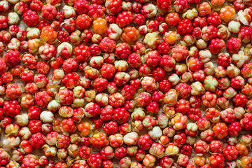 a lot of bright juicy cloudberries laid out on the table, background