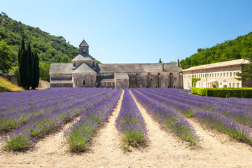 Abbaye de Senanque near village Gordes, Vaucluse region, Provence, France