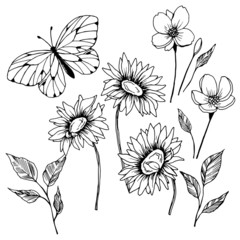 a set of graphic drawings of flowers of chamomile, butterfly