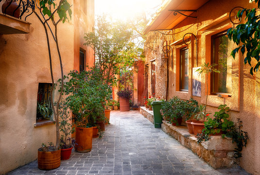 Traditional mediterranean street with plenty of plants
