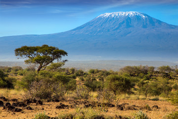 The Kilimanjaro