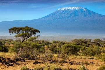 Photo sur Plexiglas Kilimandjaro Le Kilimandjaro