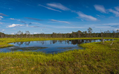 Viru bog in Lahemaa National Park; Estonia