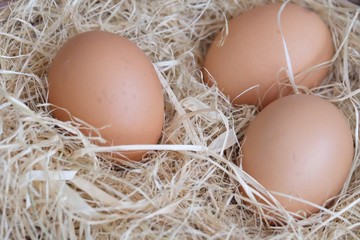 Close up a group raw eggs on a brown dried hay,in a wooden basket
