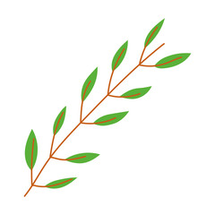 Isolated leaves vector design vector illustration