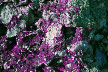 Purple moss, plaster surface  with crushed stones on wall, grunge horizontal shabby background...