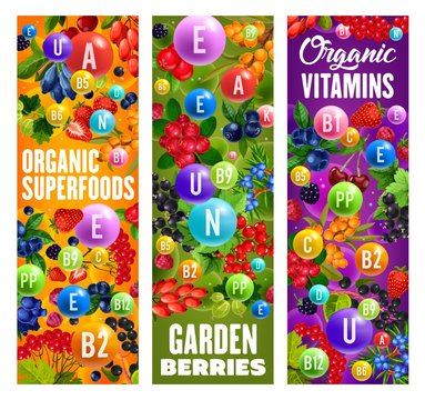 Organic berries, natural healthy fruit superfood