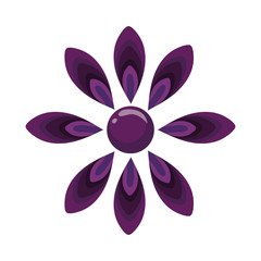 Isolated flower ornament design vector illustration