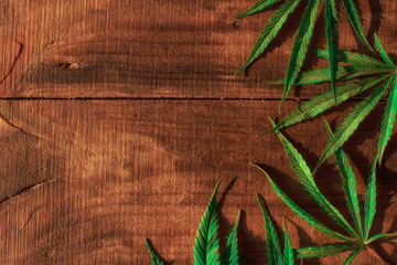 Hemp leaves on a wooden background