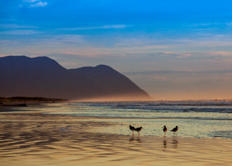 Fototapeta premium beach