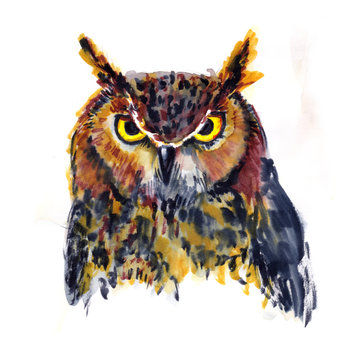 watercolor realistic brown wild owl picture