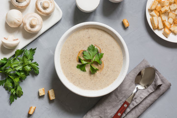 Delicious mushroom champignon soup with toast on grey concrete table. Horizontal shot, view from above.