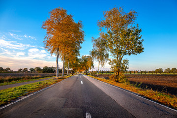 Fototapeta premium Road near Halsbek and Westerstede