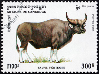 Postage stamp Cambodia 1995 gaur, Indian bison