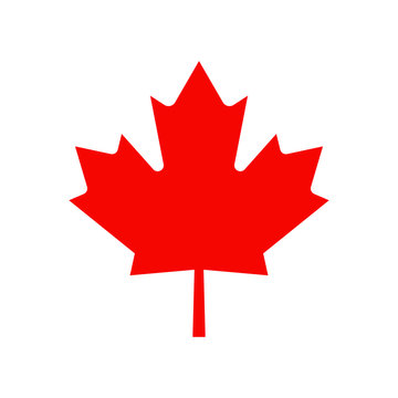 Maple leaf vector icon. Maple leaf vector illustration. Canada vector symbol maple leaf clip art. Red maple leaf.