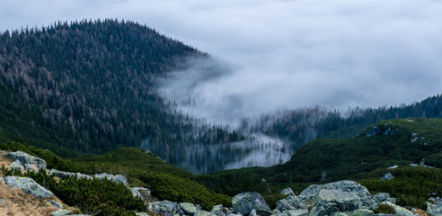 View of the mountain valley from above. Forest covered with fog and clouds..