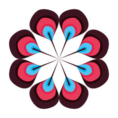Isolated ornament feather round vector design