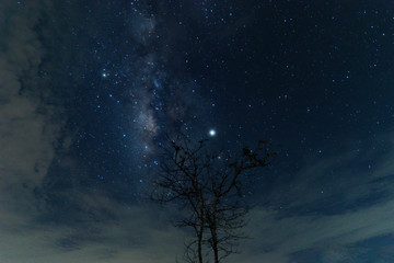 Obraz na płótnie Canvas The Milky Way and the stars in the beautiful night sky