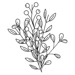 Isolated leaves design vector illustration