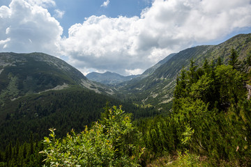 Fototapeta na wymiar Retezat national park, Hunedoara county, Carpathian mountains, Romania