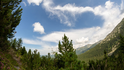 Fototapeta na wymiar Retezat national park, Hunedoara county, Carpathian mountains, Romania