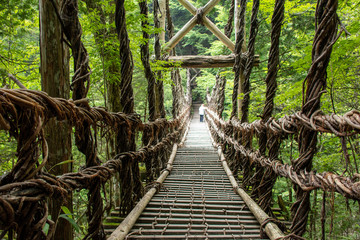 奥祖谷二重かずら橋