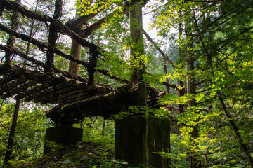 奥祖谷二重かずら橋