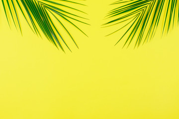Green Tropical leaves palm tree on yellow background