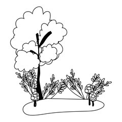 Isolated autumn season tree vector design