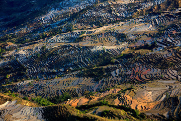 Honghe Yuanyang, Samaba Rice Terrace Fields - Baohua township, Yunnan Province China. Sama Dam Multi-Color Terraces - grass, mud construction layered terraces filled with water, blue sky reflection